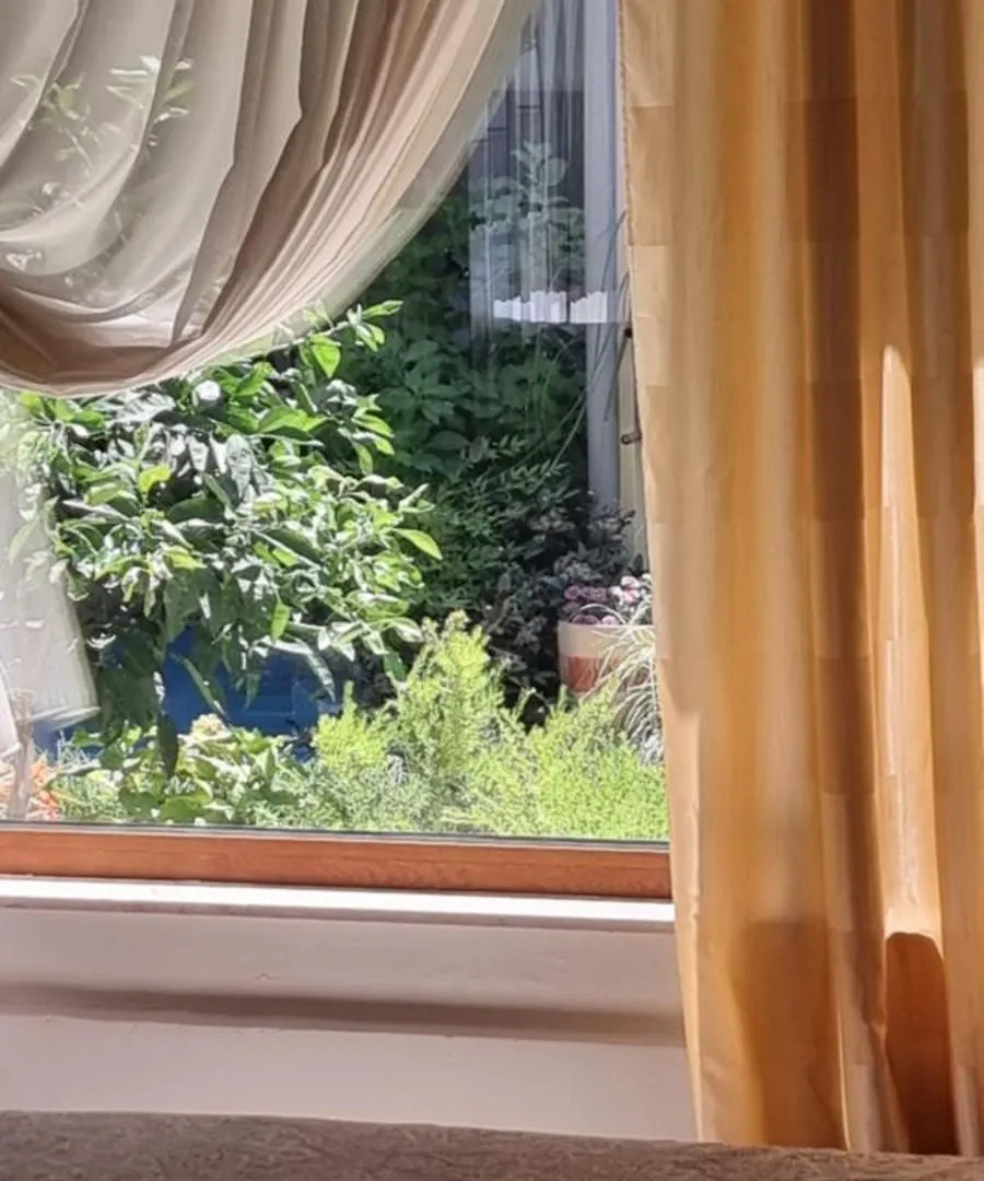 Garden Guest House Tirana Albania