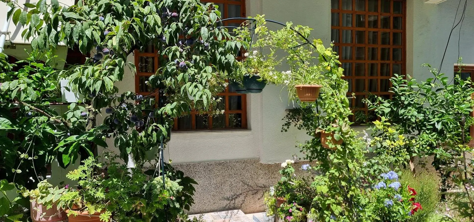 Garden Guest House Tirana