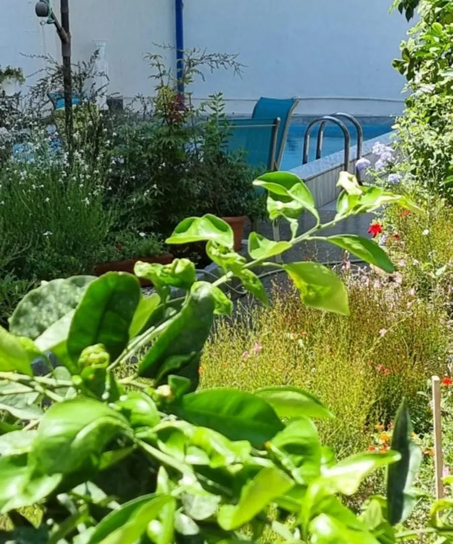 Garden Guest House Tirana